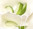 Malolactic Fermentation - Green Apples into Cream